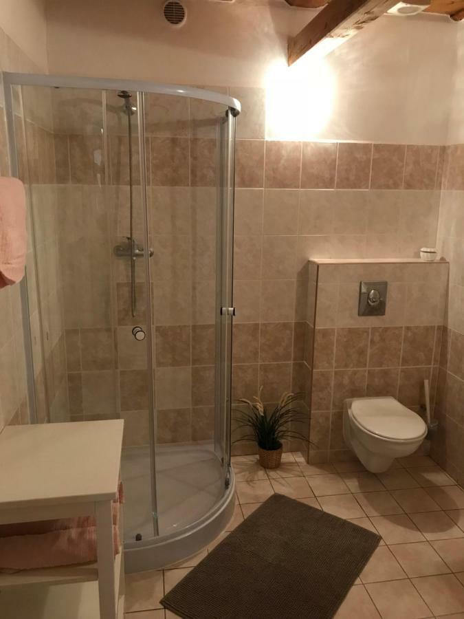 Apartmany U Kamenky Vrchlabí المظهر الخارجي الصورة
