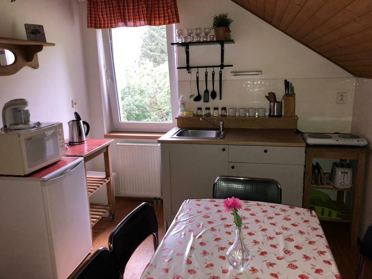 Apartmany U Kamenky Vrchlabí المظهر الخارجي الصورة